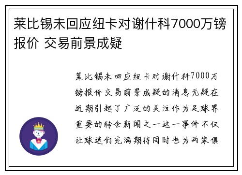 莱比锡未回应纽卡对谢什科7000万镑报价 交易前景成疑